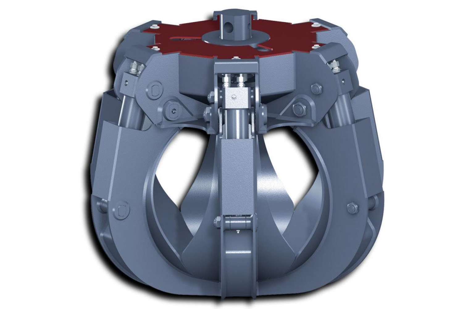 Garras Florestais AIZM