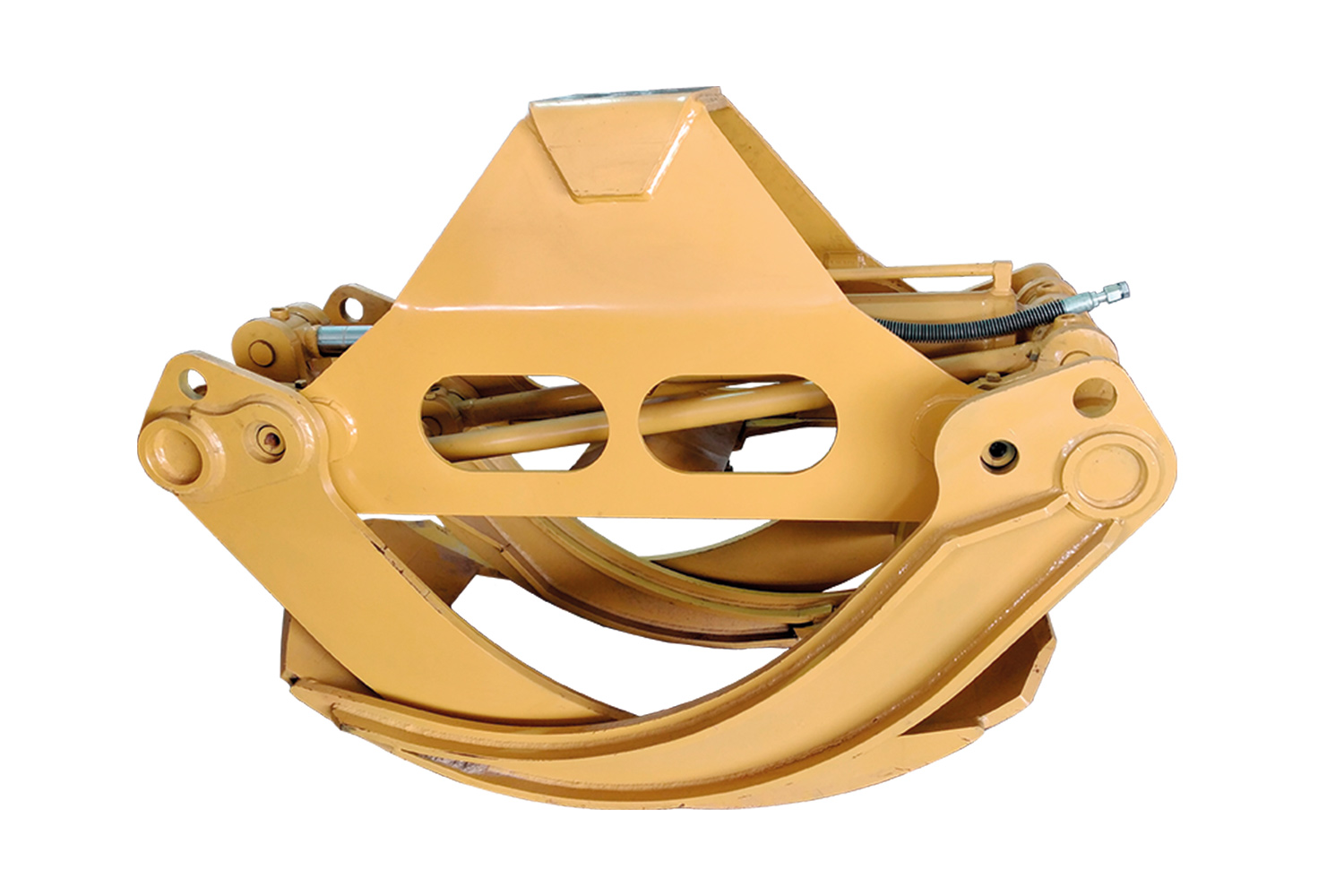 Garras Florestais AIZM