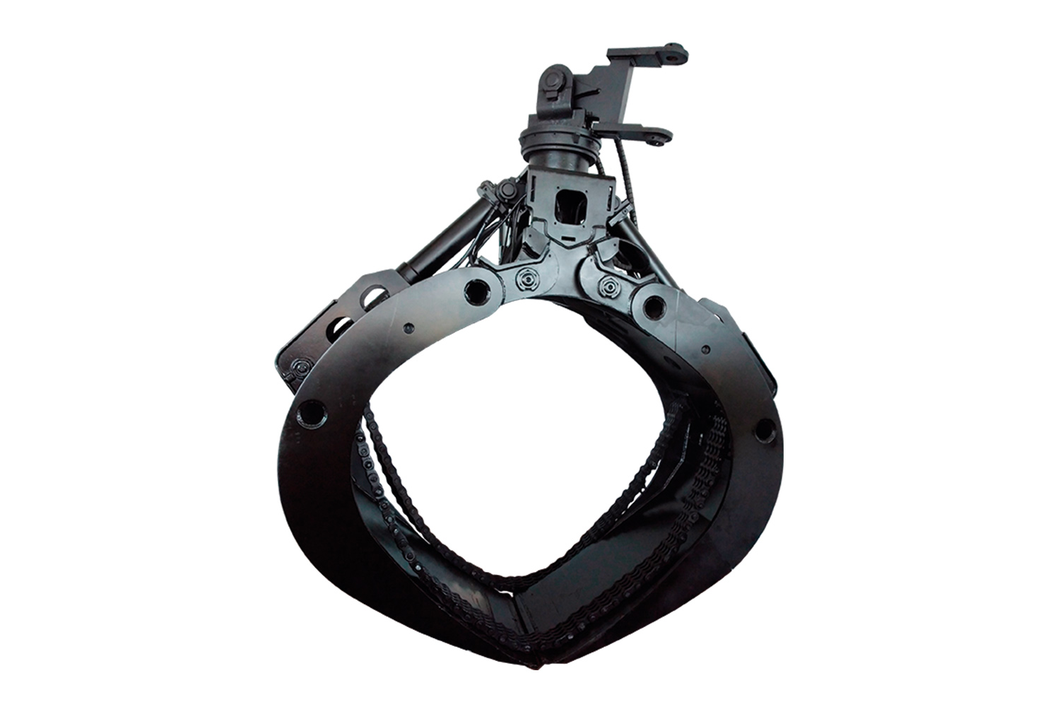 Garras Florestais AIZM